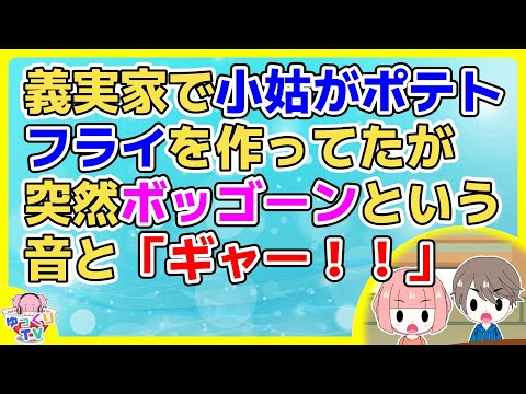 【2ch】コトメちゃんがポテトフライを作ってたら突然台所から『ボッゴーン』『バチバチ』「ギャー！！」【2ch面白いスレ 2chまとめ】