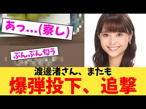 【緊急】渡邊渚さん、またも爆弾投下、追撃【2chまとめ】【2chスレ】【5chスレ】