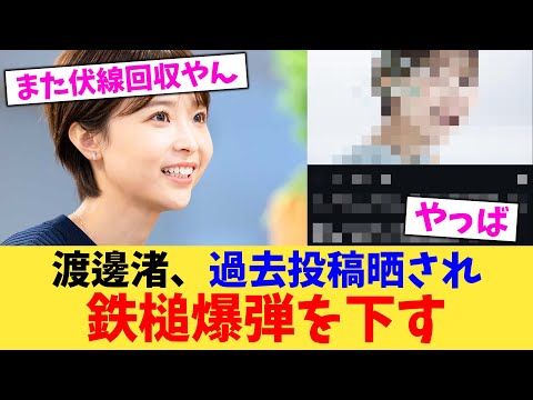 渡邊渚、過去投稿晒され鉄槌爆弾を下す【2chまとめ】【2chスレ】【5chスレ】